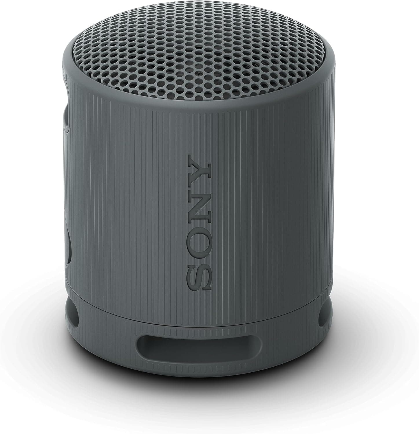 Sony SRS-XB100